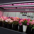 내서읍1121 이미지