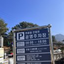 현충탑진입로 이미지