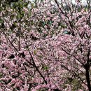 풍차주유소 이미지