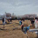 송파농장 이미지