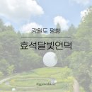 달빛언덕 | 평창 가볼만한곳 이효석문화예술촌 [효석달빛언덕]