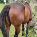 성은목장 이미지