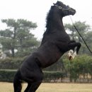 홀인원목장 이미지