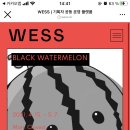 웨스(WESS) 이미지