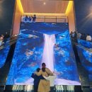 핑크고래 이미지