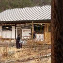 봄볕내리는날 이미지