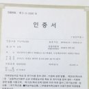 고창황토인삼