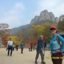 청송 - 부천시 소사구 경인로53번길 8 | 청송