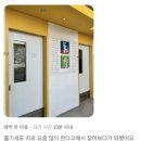 테크노웰 동물병원 | 전주고양이동물병원 웰은 노령묘 퇴행성관절염을 &#39;이것&#39;으로 치료합니다.
