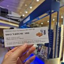 약령시관광안내소 | 2026 대구약령시 한방문화축제 후기 / 현대백화점 더현대대구 포토네컷 + 룰렛이벤트 1등당첨 후기