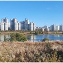 명품부동산중개 이미지