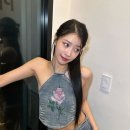미주꽃