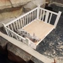 창평지 친환경 생태공원 화장실 | 경북 구미 아기랑 실내 가볼만한 곳 금오랜드 자연생태체험관