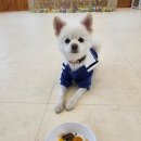 덕분에 행복하개 이미지