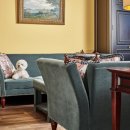 마이펫 부티크 이미지