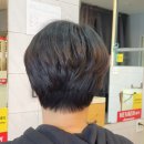 파마이모써니
