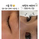 천안 속눈썹 펌 추천 청수동 눈썹가게, 원장님 꼼꼼한 손길로 인형 눈매 변신 성공! ✨