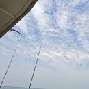 내돈내산 [인천/안산 시화방조제 배낚시] 설봉호 강력 추천 엄청친절!!