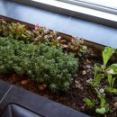 한수련헤어살롱 이미지