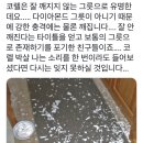 코렐은 잘 깨지지 않는 그릇으로 유명한데요.twt 이미지