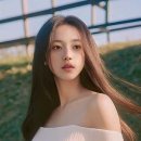 아름다운 이미지