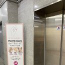 샐리네 살롱 이미지