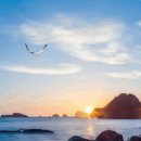 자기성찰(自己省察)이란?. 이미지