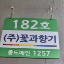 서울 양재꽃시장 영업시간 꽃과향기 방문후기