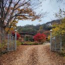 화천풀펜션 메타875 | 화천펜션 좋은 곳, &#39;화천풀펜션메타875&#39;