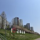 금릉역길 | 파주 공릉천 튤립축제 다녀온 후기🌷 아이랑 봄나들이 코스로 완벽했던 하루