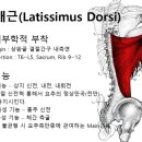 마리오 짐 이미지