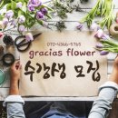 그라시아스꽃집 이미지