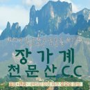 해피 홀쇼핑 네이버블로그
