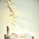 Y 산후조리원 이미지