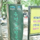 용전숲 공중화장실 이미지