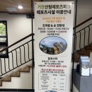 1799 | 거창 가볼만한곳 산림레포츠파크 이용요금 및 예약, 짚코스터·트리탑 전망대 아이와 여행 총정리