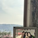 스테이자연도 이미지