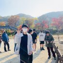 안양중학교 이미지