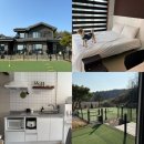 또오개 | 강릉 애견펜션 경포몽 개별테라스와 운동장까지 내돈내산 숙박 후기