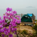 장봉뜰 | 20150411-12 장봉도, 친구랑.