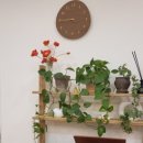 마니주민박 이미지