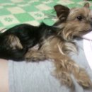 경천교회 이미지