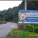 용바위농장 Daum카페