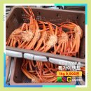 싱싱씨푸드 이미지