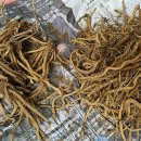 보라농장2 이미지