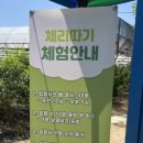 체리보이하우스