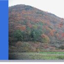 고종시마실길 이미지