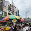의성포장마차 | 내돈내산 칠성시장 야장 멍게 해삼 맛있었던 낮술 노상 노포 의성상회