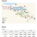 팡팡캠핑장 | 삼척 장호비치캠핑장 후기 바다 보이는 명당 사이트 &amp; 스노클링 즐기기