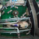 향상농장 이미지